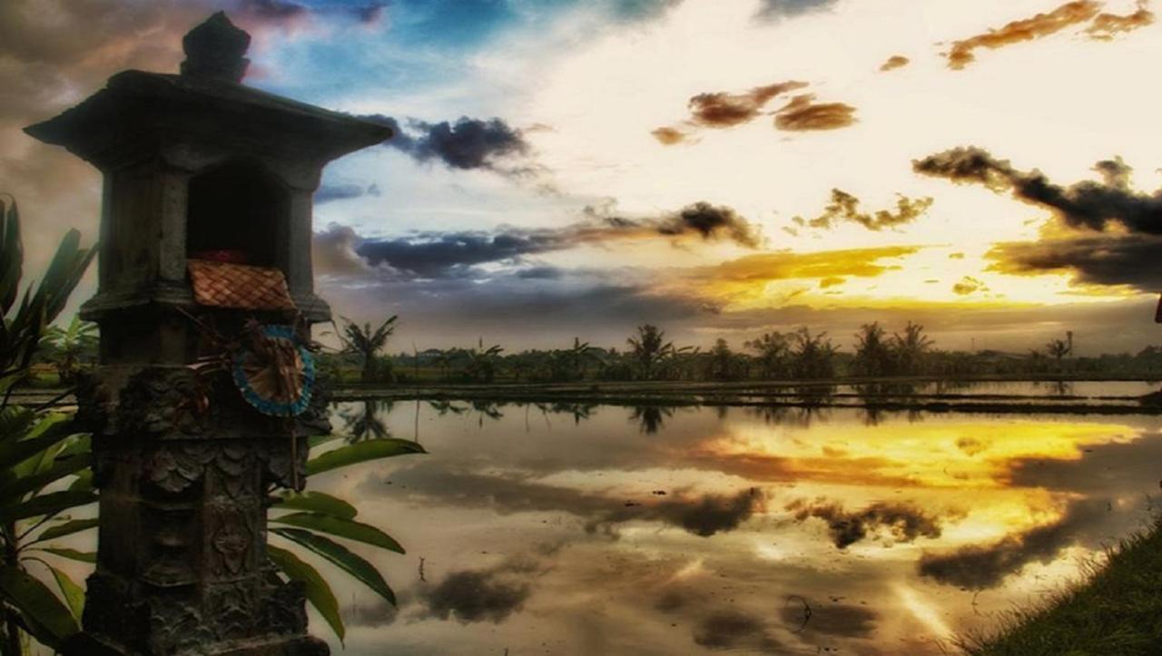 Pnb Bali Villas Canggu Exteriör bild